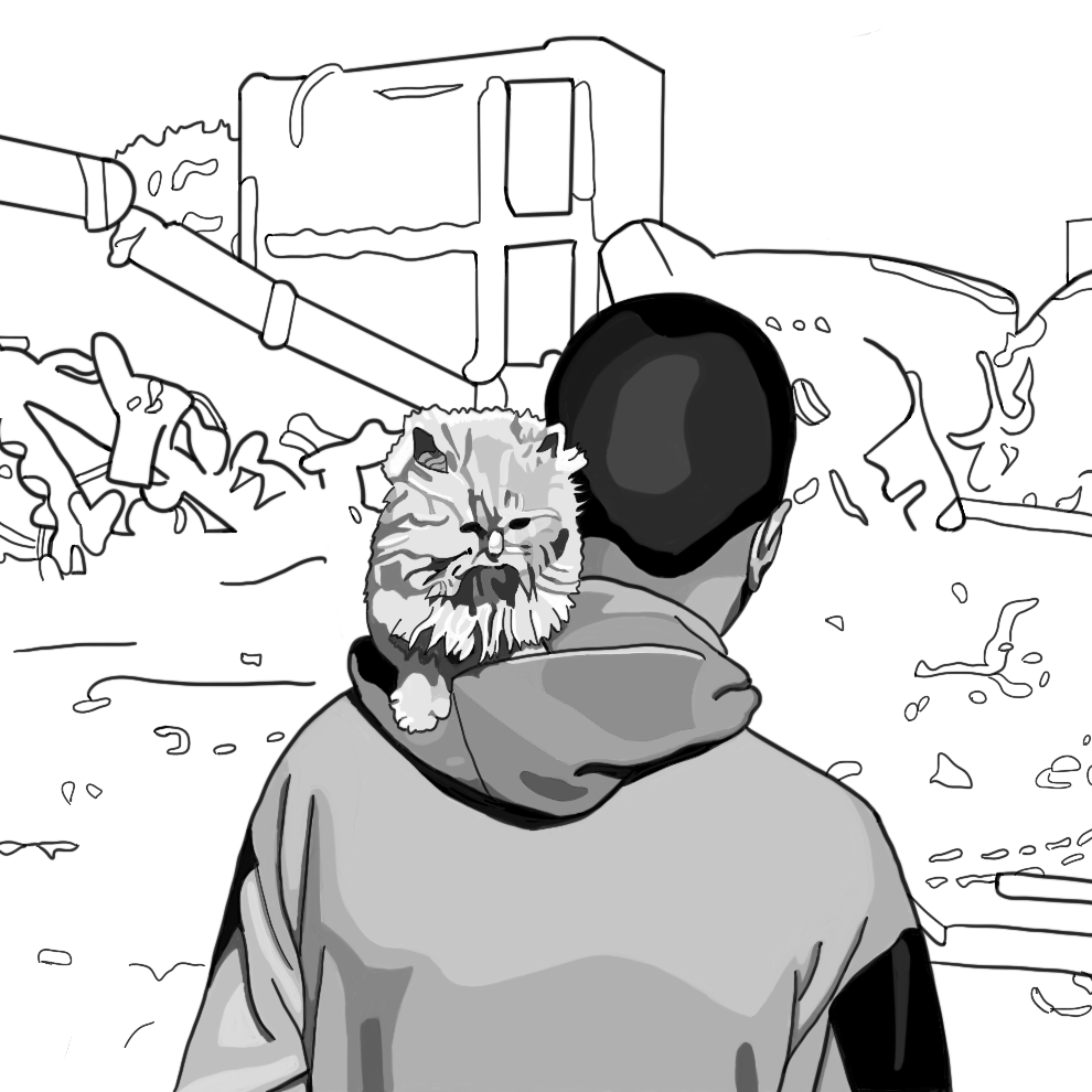 A young man in Gaza, seen from behind with a fluffy cat on his shoulder, looks at a landscape reduced to rubble.